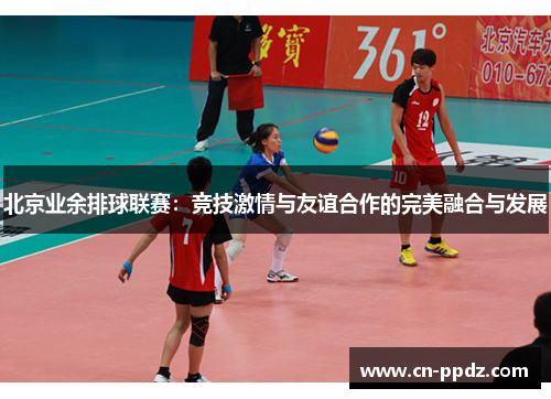 北京业余排球联赛：竞技激情与友谊合作的完美融合与发展