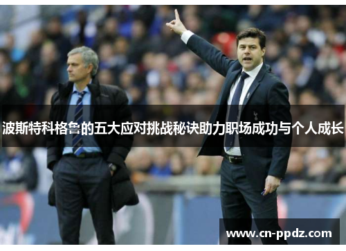 波斯特科格鲁的五大应对挑战秘诀助力职场成功与个人成长