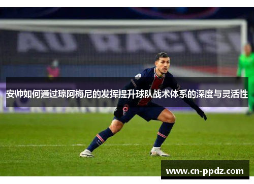 安帅如何通过琼阿梅尼的发挥提升球队战术体系的深度与灵活性 安帅如何通过琼阿梅尼的发挥提升球队战术体系的深度与灵活性