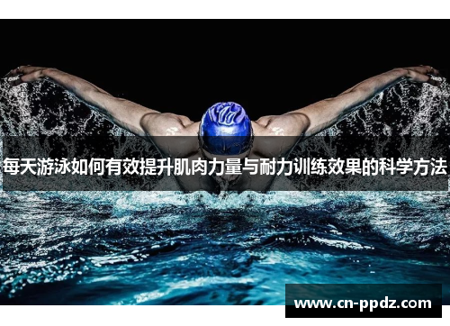 每天游泳如何有效提升肌肉力量与耐力训练效果的科学方法