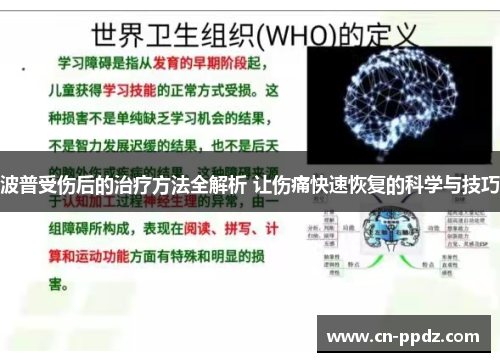 波普受伤后的治疗方法全解析 让伤痛快速恢复的科学与技巧 波普受伤后的治疗方法全解析 让伤痛快速恢复的科学与技巧