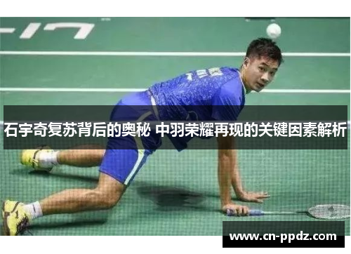 石宇奇复苏背后的奥秘 中羽荣耀再现的关键因素解析 石宇奇复苏背后的奥秘 中羽荣耀再现的关键因素解析