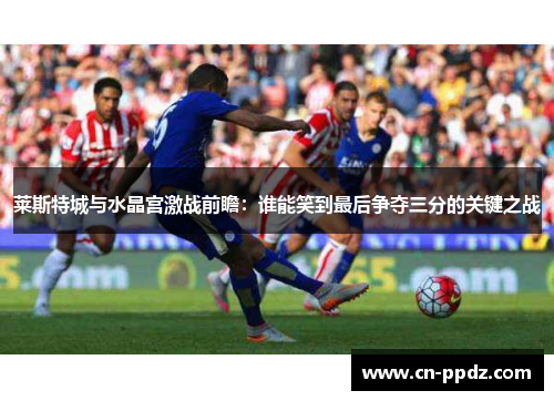 莱斯特城与水晶宫激战前瞻:谁能笑到最后争夺三分的关键之战 莱斯特城与水晶宫激战前瞻:谁能笑到最后争夺三分的关键之战