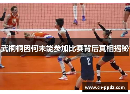 武桐桐因何未能参加比赛背后真相揭秘 武桐桐因何未能参加比赛背后真相揭秘
